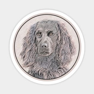 Boykin Spaniel Magnet